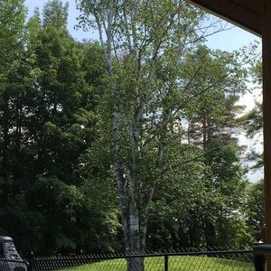 Meet your Posher, Delia